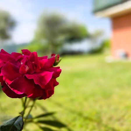Relais Villa Olivi กอสเตร์มาโน ภายนอก รูปภาพ