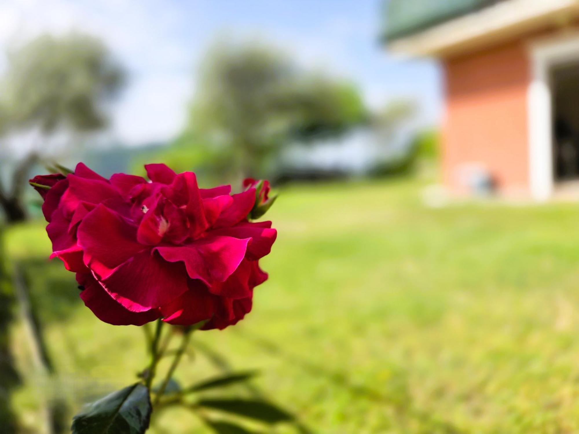 Relais Villa Olivi กอสเตร์มาโน ภายนอก รูปภาพ