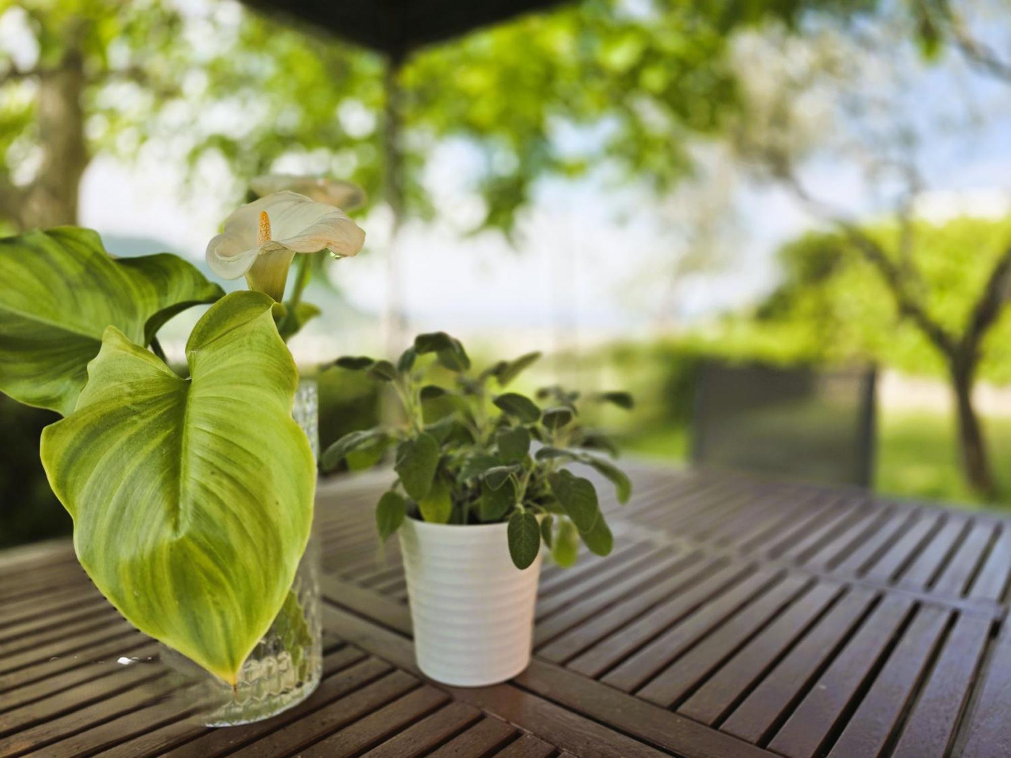 Relais Villa Olivi กอสเตร์มาโน ภายนอก รูปภาพ